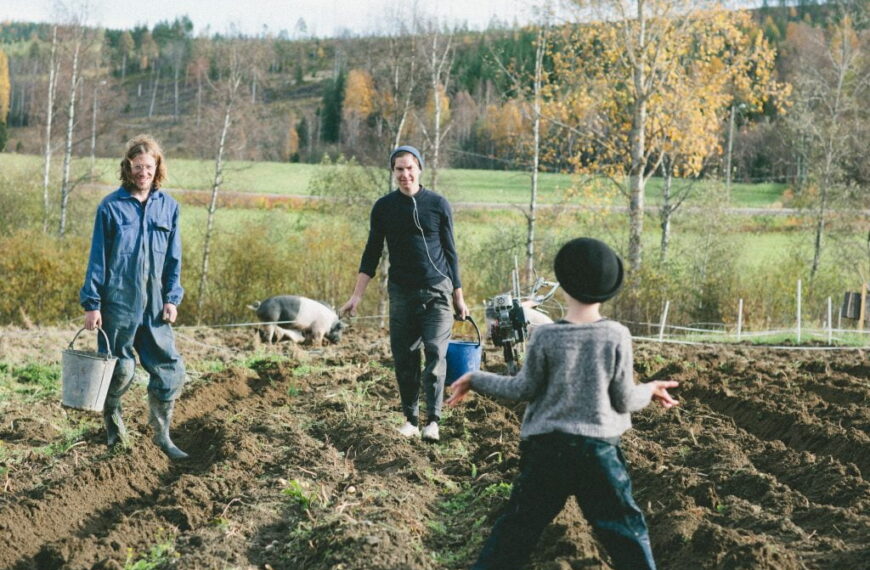 Omavaraisuus ja riippumattomuus