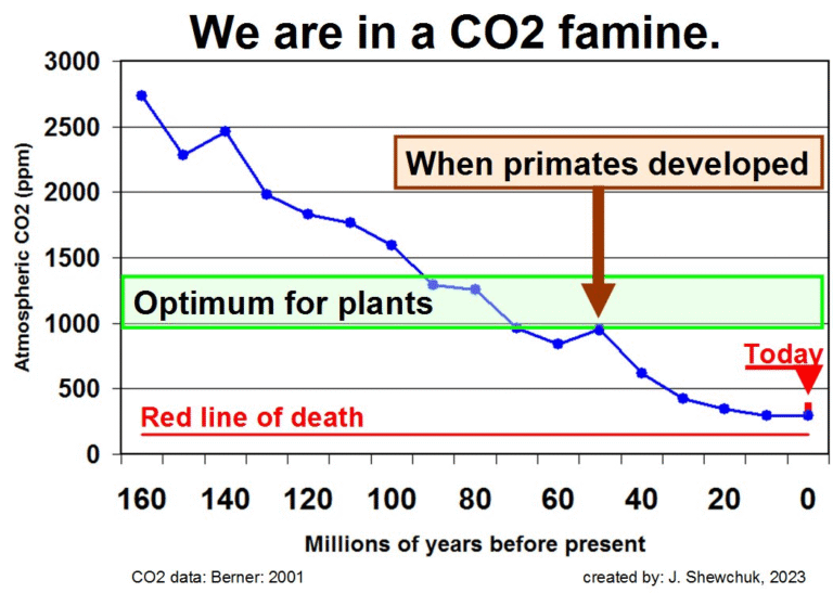CO2 Elintärkeä kaasu