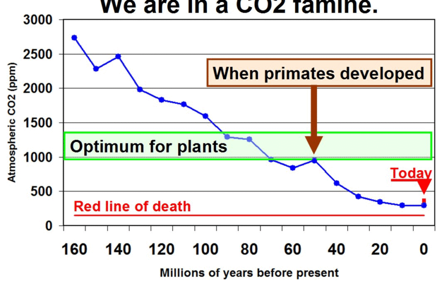 CO2 Elintärkeä kaasu